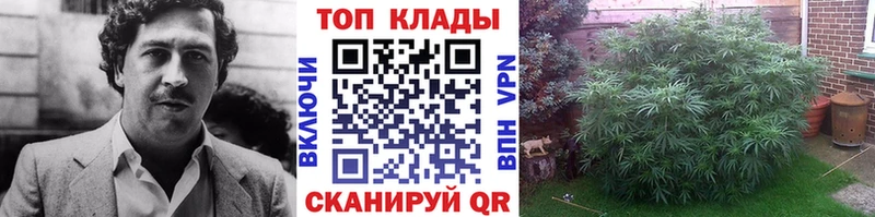 Где купить Константиновск СОЛЬ  Канабис  Меф мяу мяу  Гашиш  Псилоцибиновые грибы  МЕТАМФЕТАМИН  Cocaine 