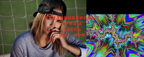 герыч Арсеньев