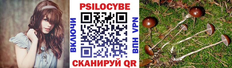 Галлюциногенные грибы Psilocybine cubensis МЕГА сайт Константиновск закладки
